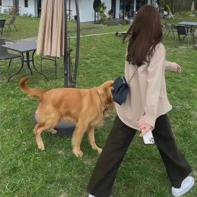 爸爸不要说再见